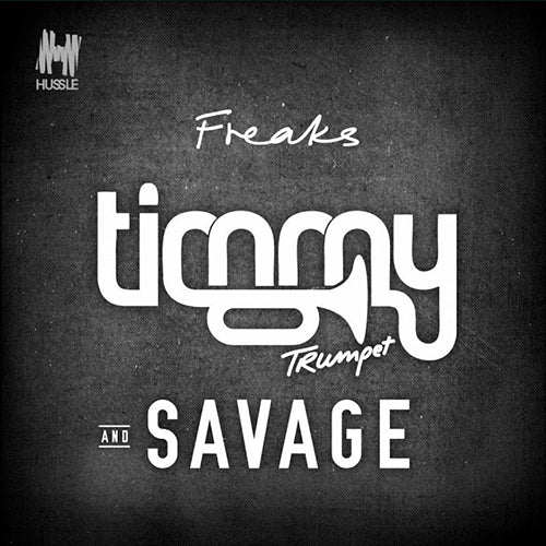 Freaks Timmy Trumpet dance song xLights sequence