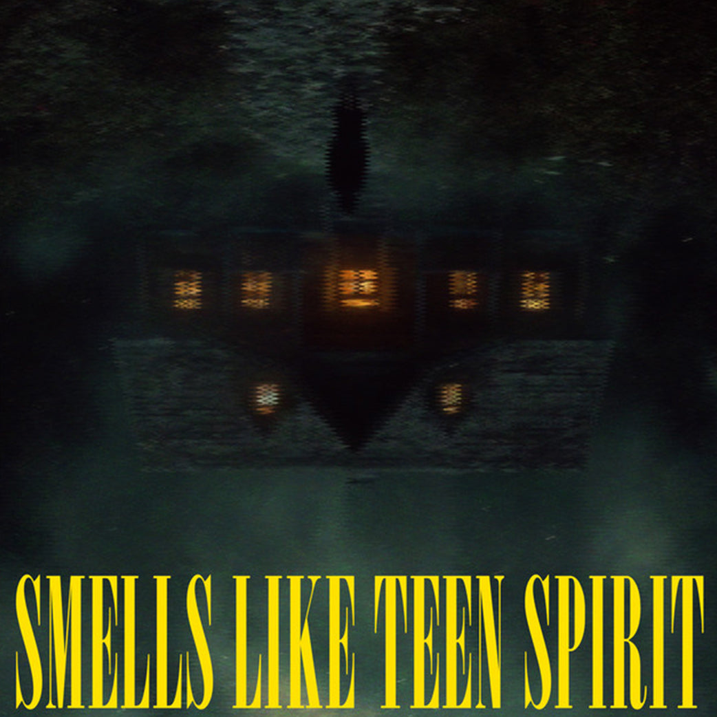 Smells Like Teen Spirit Nirvana Remix song by Tommee Profitt xLights sequence